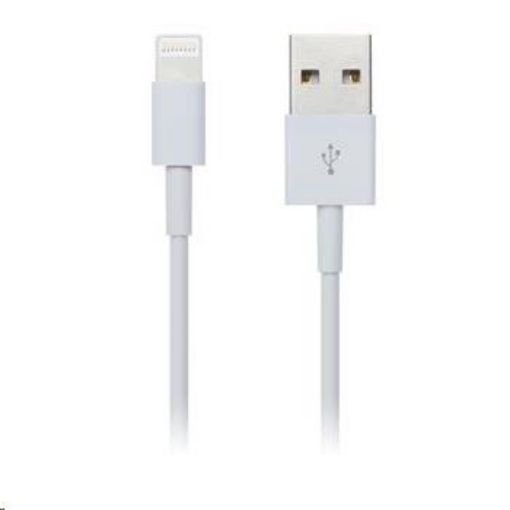 Obrázek CONNECT IT Kabel Colorz Apple Lightning - USB, 1m, bílý