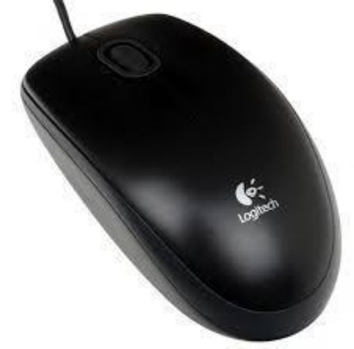 Obrázek Logitech B100 Optical Mouse Black, USB, černá