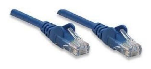Obrázek Intellinet Patch kabel Cat5e UTP 10m modrý