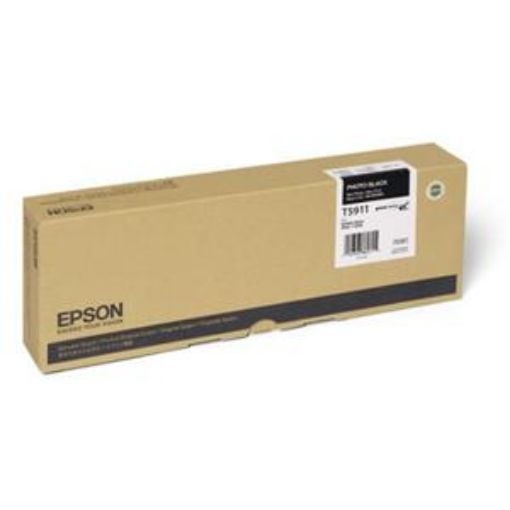 Obrázek Epson T591 Photo Black