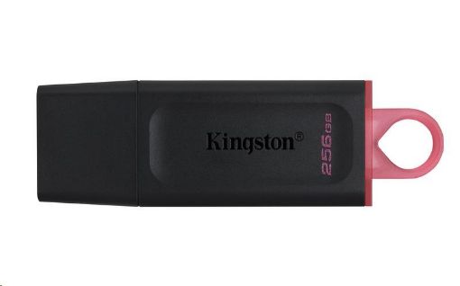 Obrázek Kingston Flash Disk 256GB USB3.2 Gen1 DataTraveler Exodia (Black + Pink)