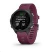 Obrázek Garmin GPS sportovní hodinky Forerunner 245 Optic Red