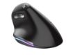Obrázek TRUST myš Bayo Ergonomic Rechargeable Wireless Mouse, optická, černá