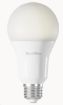 Obrázek TechToy Smart Bulb RGB 11W E27