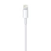 Obrázek APPLE USB kabel s konektorem Lightning (0,5m)