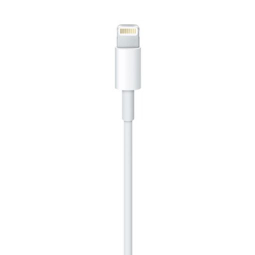 Obrázek APPLE USB kabel s konektorem Lightning (0,5m)