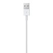 Obrázek APPLE USB kabel s konektorem Lightning (0,5m)