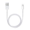 Obrázek APPLE USB kabel s konektorem Lightning (0,5m)