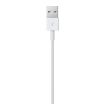 Obrázek Apple kabel USB s konektorem Lightning (2 m)