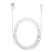 Obrázek Apple kabel USB s konektorem Lightning (2 m)