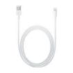 Obrázek Apple kabel USB s konektorem Lightning (2 m)