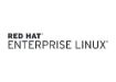 Obrázek HP SW Red Hat Enterprise Linux Server 2 Sockets 4 Guests 1 Year Subscription 24x7 Support E-LTU