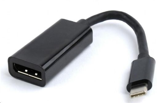 Obrázek GEMBIRD Kabel USB-C na DisplayPort adaptér