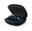 Obrázek Beats Powerbeats Pro Totally Wireless  - Navy Blue