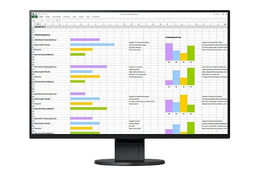 Obrázek EIZO MT 24" EV2456-BK FlexScan, IPS, 1920x1200, 350nit, 1000:1, 5ms, DisplayPort, HDMI, DVI-D, D-sub, USB, Repro, Černý