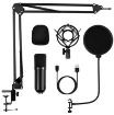 Obrázek CONNECT IT USB Mikrofon se stolním ramenem ProMic, černá