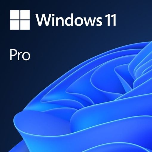 Obrázek Windows 11 Pro 64Bit CZ OEM