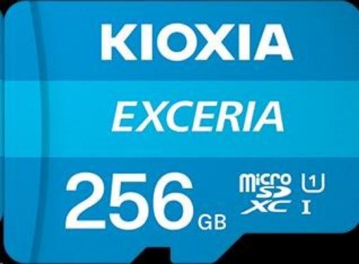 Obrázek KIOXIA Exceria microSD card 256GB M203, UHS-I U1 Class 10