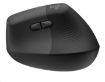 Obrázek Logitech Lift Vertical Ergonomic Mouse, graphite/black