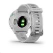 Obrázek Garmin GPS sportovní hodinky Forerunner 55 White