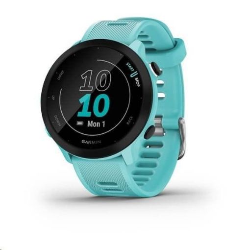 Obrázek Garmin GPS sportovní hodinky Forerunner 55 Blue