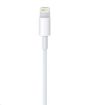 Obrázek APPLE Lightning na USB kabel (1 m)