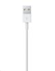 Obrázek APPLE Lightning na USB kabel (1 m)