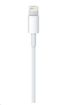 Obrázek APPLE USB kabel s konektorem Lightning (2m)