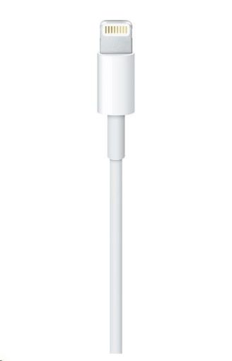 Obrázek APPLE USB kabel s konektorem Lightning (2m)