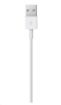 Obrázek APPLE USB kabel s konektorem Lightning (2m)