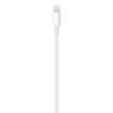 Obrázek APPLE USB-C na Lightning kabel (1 m)