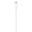 Obrázek APPLE USB-C na Lightning kabel (1 m)