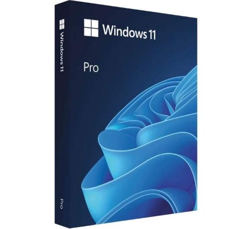 Obrázek Windows Pro 11 64-bit Eng USB