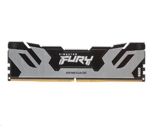 Obrázek KINGSTON DIMM DDR5 32GB 6000MT/s CL32 FURY Renegade Stříbrná