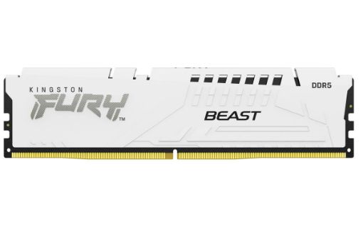 Obrázek KINGSTON DIMM DDR5 16GB 6000MT/s CL30 ECC FURY Beast XMP Bílá