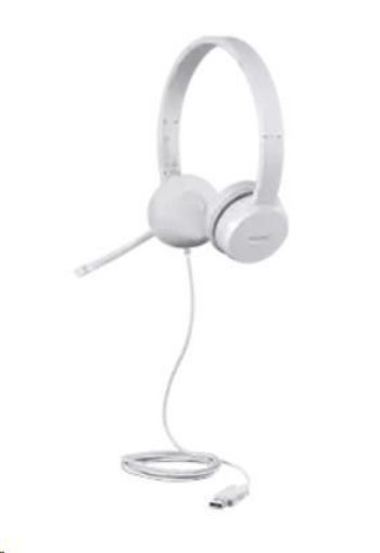 Obrázek Lenovo 110 Stereo USB Headset