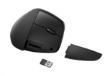 Obrázek HP 920 Ergonomic Wireless Mouse - bezdrátová ergonomická myš