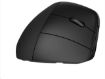 Obrázek HP 920 Ergonomic Wireless Mouse - bezdrátová ergonomická myš