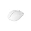 Obrázek DICOTA Wireless Mouse BT/2.4G NOTEBOOK white