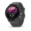 Obrázek Garmin GPS sportovní hodinky Forerunner® 255, Slate Gray, EU