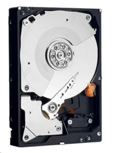 Obrázek DELL 2.4TB Hard Disk Drive 10K 512e FIPS 12Gbps SAS 2.5in Customer Kit