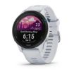 Obrázek Garmin GPS sportovní hodinky Forerunner® 255 Music, Whitestone