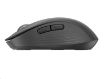 Obrázek Logitech Wireless Mouse M650 L Signature, graphite