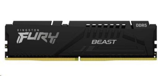 Obrázek KINGSTON DIMM DDR5 16GB 6000MT/s CL36 FURY Beast Černá EXPO