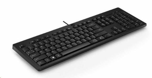 Obrázek HP 125 Wired Keyboard - CZ/SK