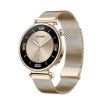 Obrázek Huawei Watch GT4 41mm (Aurora-B19M), gold EU