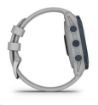 Obrázek Garmin Descent™ G1, Powder Grey