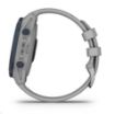 Obrázek Garmin Descent™ G1, Powder Grey
