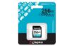 Obrázek Kingston SDXC karta 256GB Canvas Go! Plus, R:200/W:160MB/s, Class 10, UHS-I, U3, V30