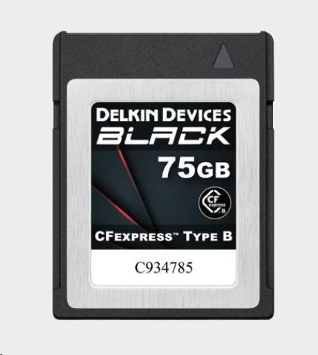 Obrázek Delkin CFexpress BLACK R1725/W1240 75GB